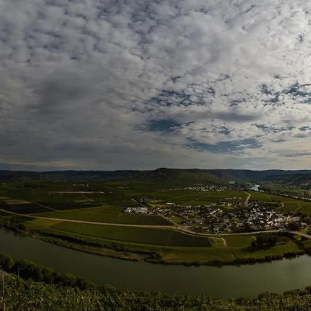 Lägenhet Neue Mit Weinbergsblick - Urlaub Im Wein- Und Ferienort