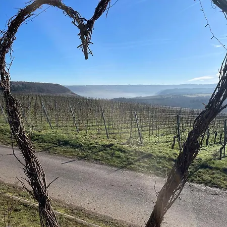 Neue Mit Weinbergsblick - Urlaub Im Wein- Und Ferienort Apartment *