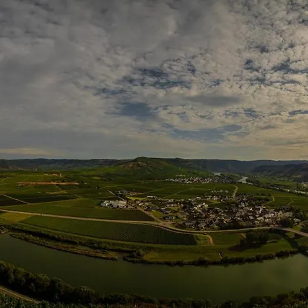 Apartment Neue Mit Weinbergsblick - Urlaub Im Wein- Und Ferienort