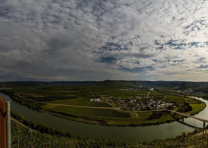 公寓 Neue Mit Weinbergsblick - Urlaub Im Wein- Und Ferienort