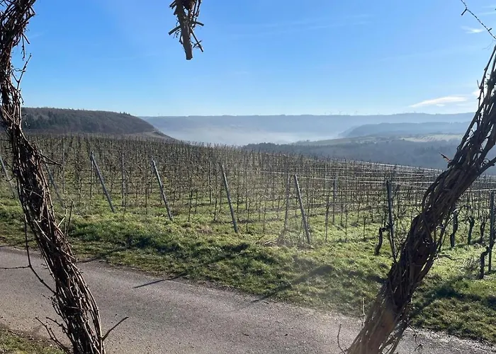 Neue Mit Weinbergsblick - Urlaub Im Wein- Und Ferienort 公寓 *